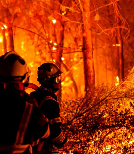 Frankrijk pakt na bosbranden 26 pyromanen op
