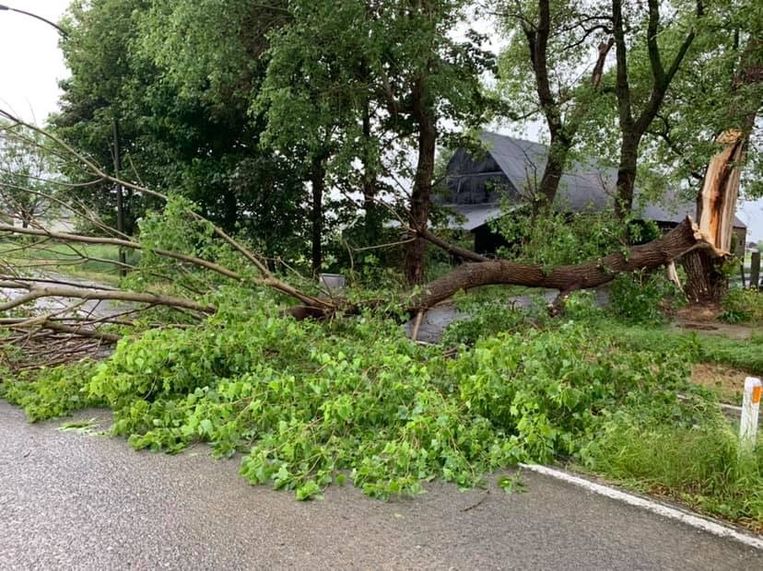 763?appId=2dc96dd3f167e919913d808324cbfe