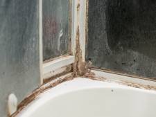 Met dit paardenmiddel maak je de vloer van de douche schoon
