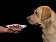 Rauwe voeding voor honden en katten bevat veel schadelijke bacteriën en dat kan ook gevaarlijk zijn voor de mens