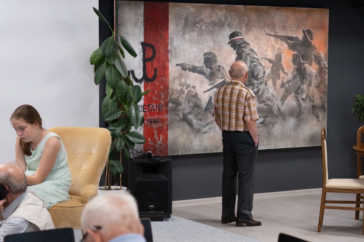 Seorang veteran melihat karya seni tentang pemberontakan '44.  Gambar Malecki Piotr