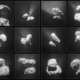 'Badeend' bestaat eigenlijk uit twee kometen