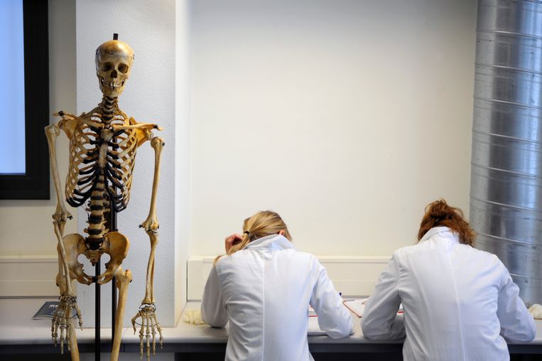Studenten medicijnen zijn in de snijzaal bezig met een practicum. Beeld Hollandse Hoogte / Flip Franssen