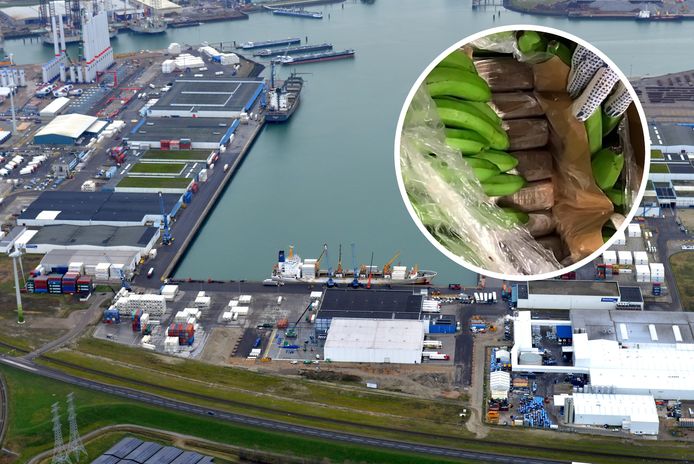 De Bijleveldhaven in Vlissingen-Oost. Inzet: een partij drugs tussen de bananen.
