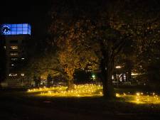 Toch weer één route voor lichtfestival Glow, met DAF-trucks en een zee van vlinders in de Eindhovense binnenstad