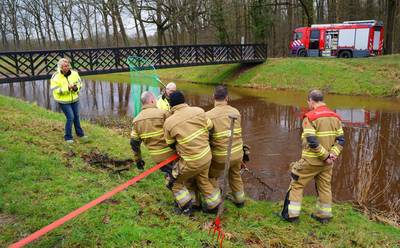 Zwaan zit klem in waterdoorgang, brandweer en dierenambulance rukken tevergeefs uit