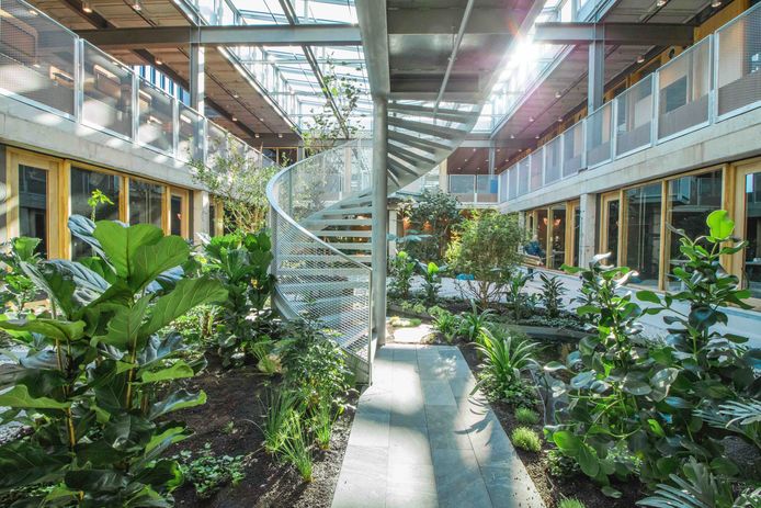 De atriumtuin in het compleet gerenoveerde UT-gebouw Langszijde.