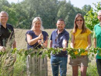 Nieuw wandelpad geopend in de Wellemeersen: “Ooit wilde men hier een stortplaats van maken”