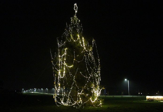 De Sterren Stralen-boom met ingeschakelde verlichting, 20 november 's avonds.