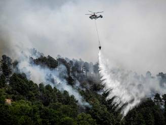Bosbrand in Portugees natuurpark laait weer op: drie dorpen geëvacueerd
