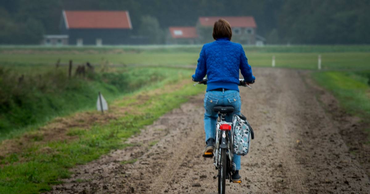 Pas op: slik op de weg. Campagne wijst automobilisten op gladde wegen door modder - Provinciale Zeeu
