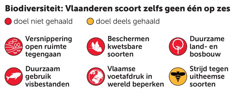 null Beeld dz