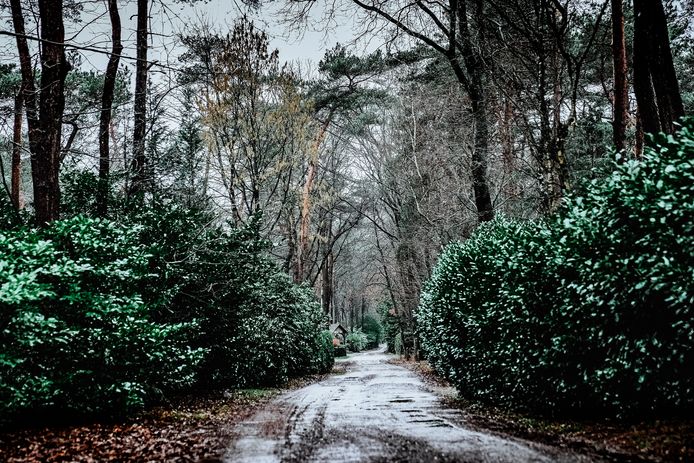 Park de Kievit in Baarle-Nassau.