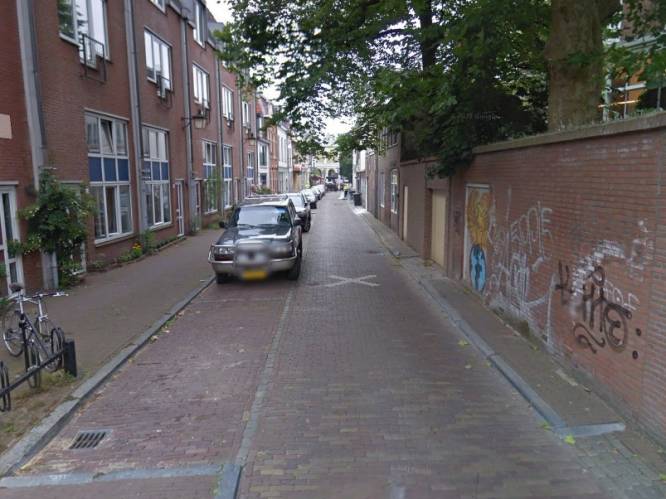 Vijfheerenlanden | AD.nl