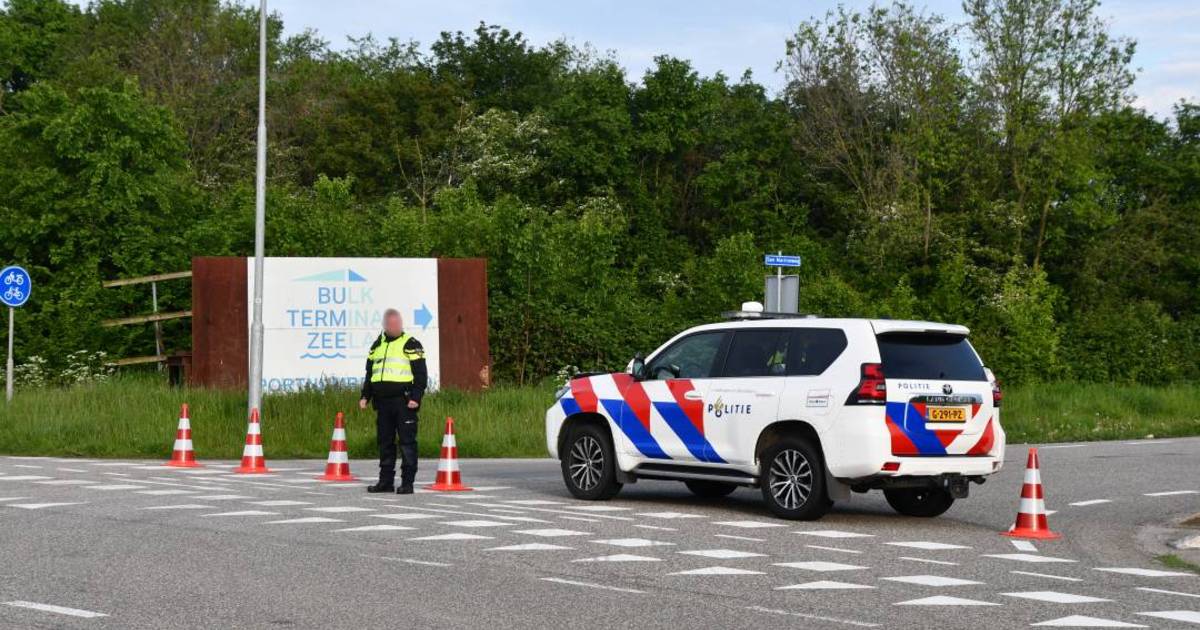 Grote actie politie tegen drugshandel: invallen op zeven plaatsen in ...