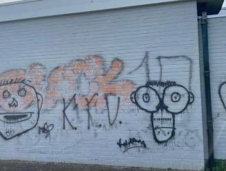 Muren van Zonnig Leven voor de derde keer beklad met graffiti