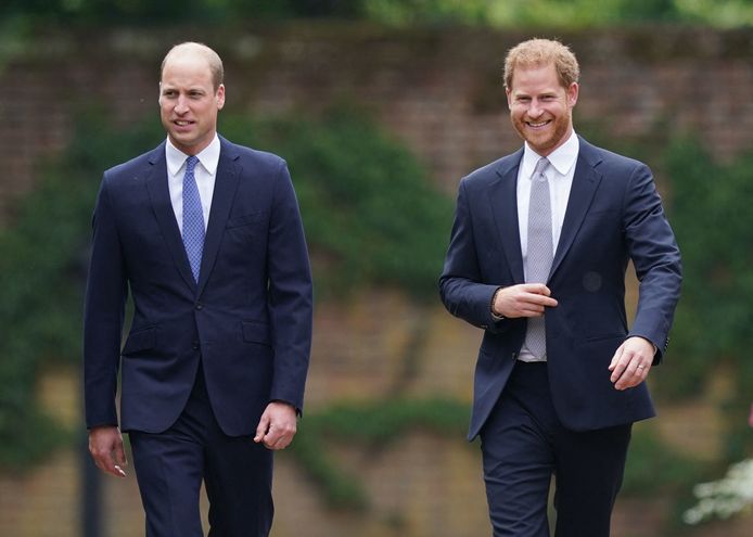 William en Harry tijdens de herdenking van Diana.