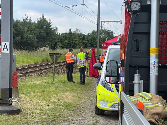 Fietser (62) overleden na aanrijding door trein aan overweg in Pelt: “Slagbomen waren al naar beneden”