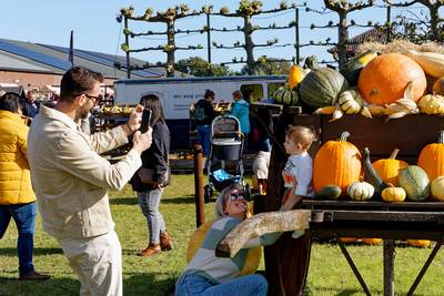 Pompoenen worden steeds populairder en niet alleen voor in de soep, blijkt bij jaarlijkse pompoenfai