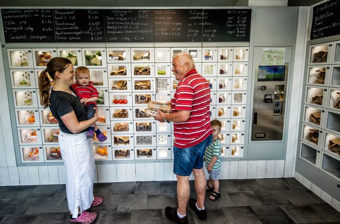 Het kan in Waverveen bloemkool uit de muur Woerden AD.nl