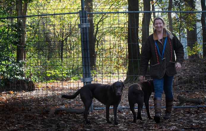 Maureen Nieboer wandelt al jaren met honden in het bos. Hier kan ze niet verder door een hek op het pad.