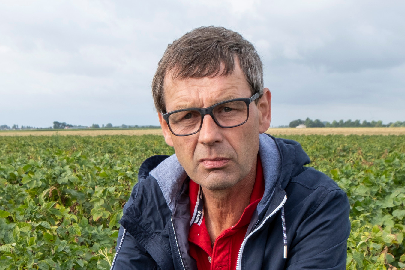 In Zeeland zien we veel bloemenstroken: ‘Dat zorgt voor minder ziekte ...