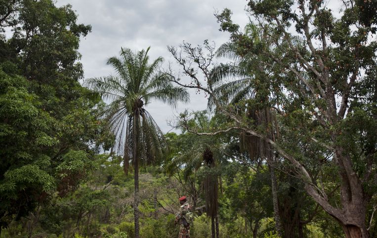 Een soldaat van de Centraal Afrikaanse Republiek kampt de jungle uit. Beeld ap