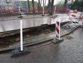 Vanbommelschoenmode eindhoven 2025