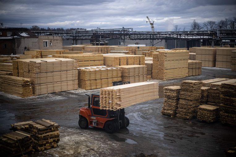 De verhoogde export van hout uit sommige landen in Centraal-Azië is verdacht, omdat die export toenam na sancties tegen Belarus. Beeld AFP