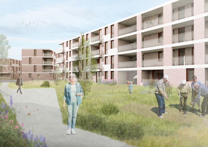 Een impressie van de toekomstige sociale woningen in de Ploegstraat, Eggestraat en Geerdegem-Schonenberg.