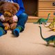 Zorg kwetsbare kinderen schiet ernstig tekort door problemen in de jeugdzorg, urgente actie nodig