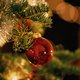 Zóveel lampjes en kerstballen kunnen er in je kerstboom