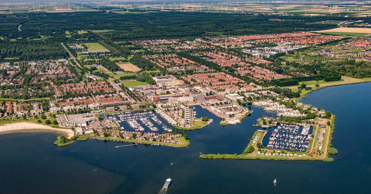 Een nieuwe stad zo groot als Zwolle in de achtertuin van Zeewolde? Deze bedrijven willen het gaan bo