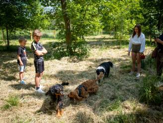 Gemeente zoekt leden voor nieuwe expertengroep Dierenwelzijn