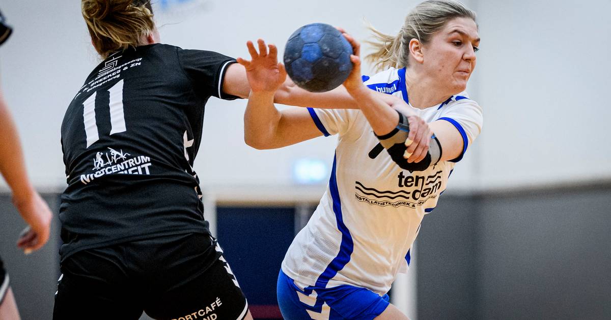 Uitslagen en verslagen handbal: ZVBB'21 boekt zege bij DSS, nederlagen voor Stevo en Bentelo