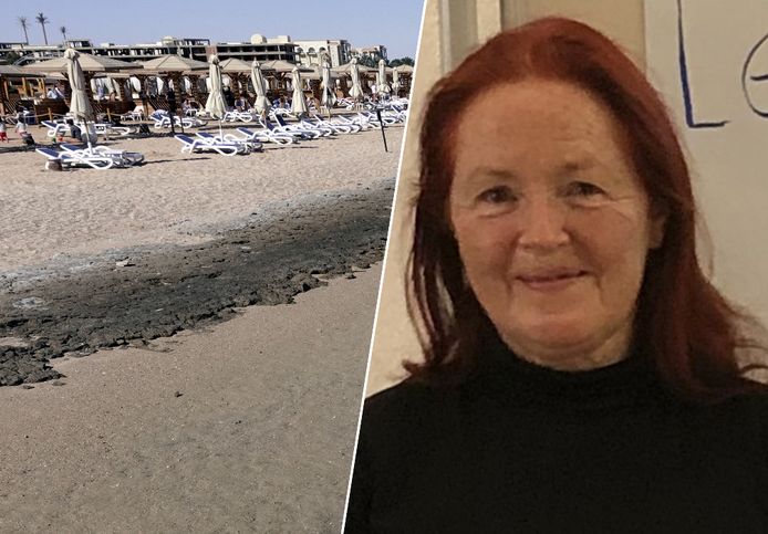 De Oostenrijkse toeriste Elisabeth S. (68) kwam vrijdag om het leven bij een haaienaanval in de Rode Zee in Egypte.