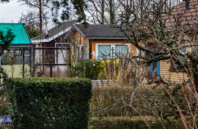 Door vermenging van de stortlaag met de bovenste bodemlagen is er bij tientallen tuinen op het volkstuinencomplex in meer of mindere mate lood in de bodem gevonden.
