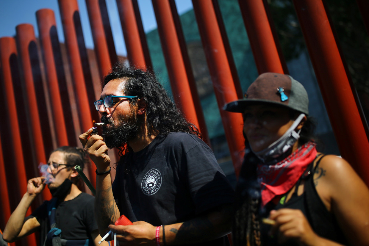 Marihuanagebruikers protesteren voor de Mexicaanse Senaat, die voor een wetsvoorstel stemde dat wiet in Mexico moet legaliseren. Beeld Reuters
