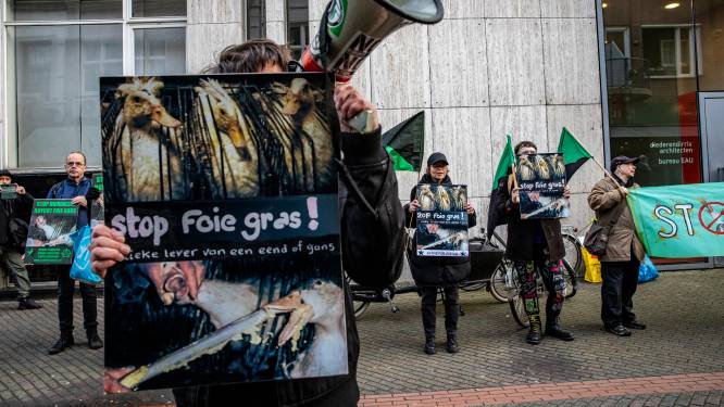 Eerste protest tegen foie gras in Eindhoven: ‘Een heftige confrontatie’
