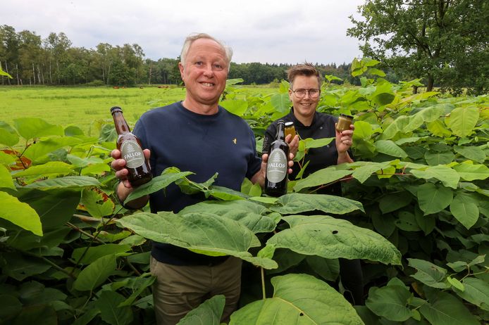 Lex Peeters (links) en Marieke van Beers (rechts) staan op landgoed Wellenseind tussen de duizendknoop met bier, chutney en jam van duizendknoop.