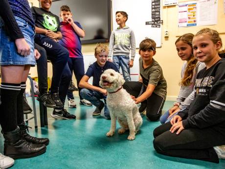 Doris is nieuw op deze basisschool in Deventer. En iedereen wil de nieuwe ‘leerling’ dolgraag uitlaten