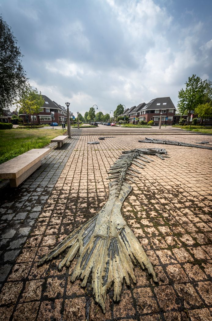 Het wqerk van Egon Kuchlein in Helmond.