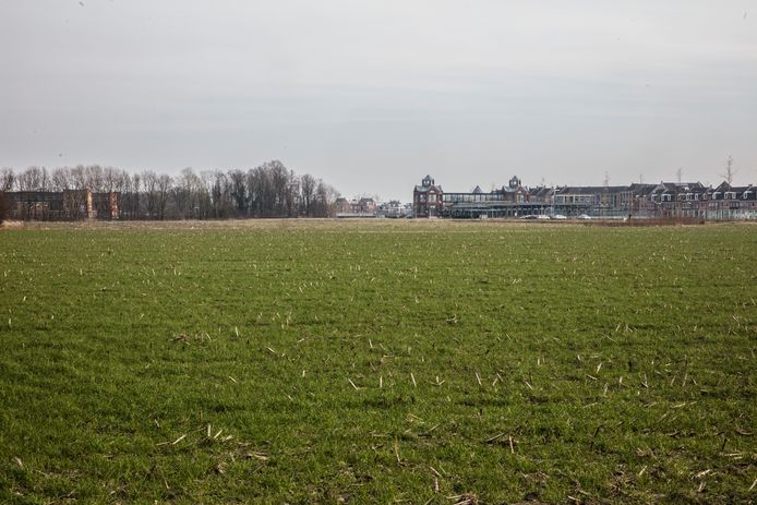 Dit stuk grond ten noorden van de spoorlijn Helmond-Eindhoven hoort tot het zoekgebied voor Brainport Smart District, de ‘slimme wijk’. Achteraan links het Carolus Borromeus College, rechts NS-station Helmond-Brandevoort.