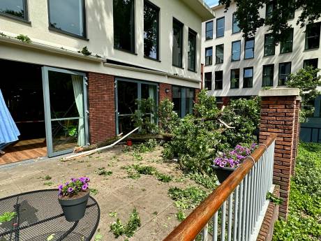 Grote tak valt op terras van zorgcentrum, bewoonster naar het ziekenhuis; schrik zit er goed in