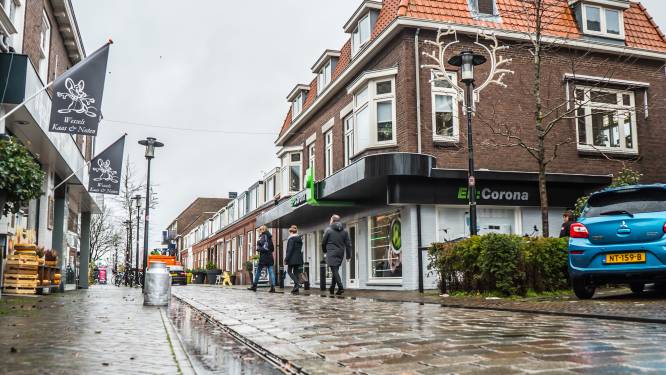 Koning geeft voorlopig groen licht voor gedwongen verkoop van grond voor Centrumplan Den Hoorn