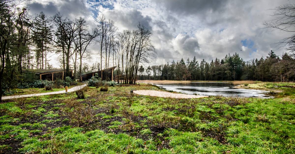 Voor eeuwig één met natuur Twekkelo: ‘Veel mensen komen alvast kijken ...