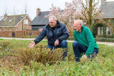 Al 25 jaar hielden Arie en Kees zelf het plantsoen bij, maar ineens is het gekortwiekt door de gemee