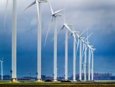 Commissie: ‘Meer aandacht voor vleermuizen bij windmolens De Geer’