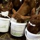 Diervoederproducent ForFarmers verkoopt minder veevoer, maar maakt toch meer winst