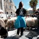 Franse herders zijn geïmporteerde beren beu